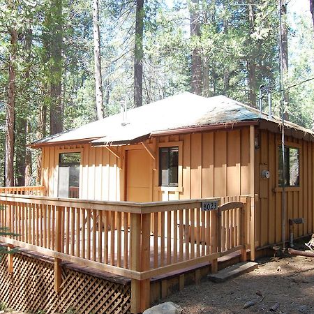 9S Pine Cabin South Wawona Exteriér fotografie